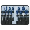 Bosch DareDevil 13 Piece Spade Bit Set/Pch DSB5013P