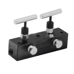 BVA MANIFOLD BLOCK, 2 NEEDLE VALVE, OIL PORT 3/8"-18NPTF, 6" LONG, 10,000 PSI (700 BAR) MFC2