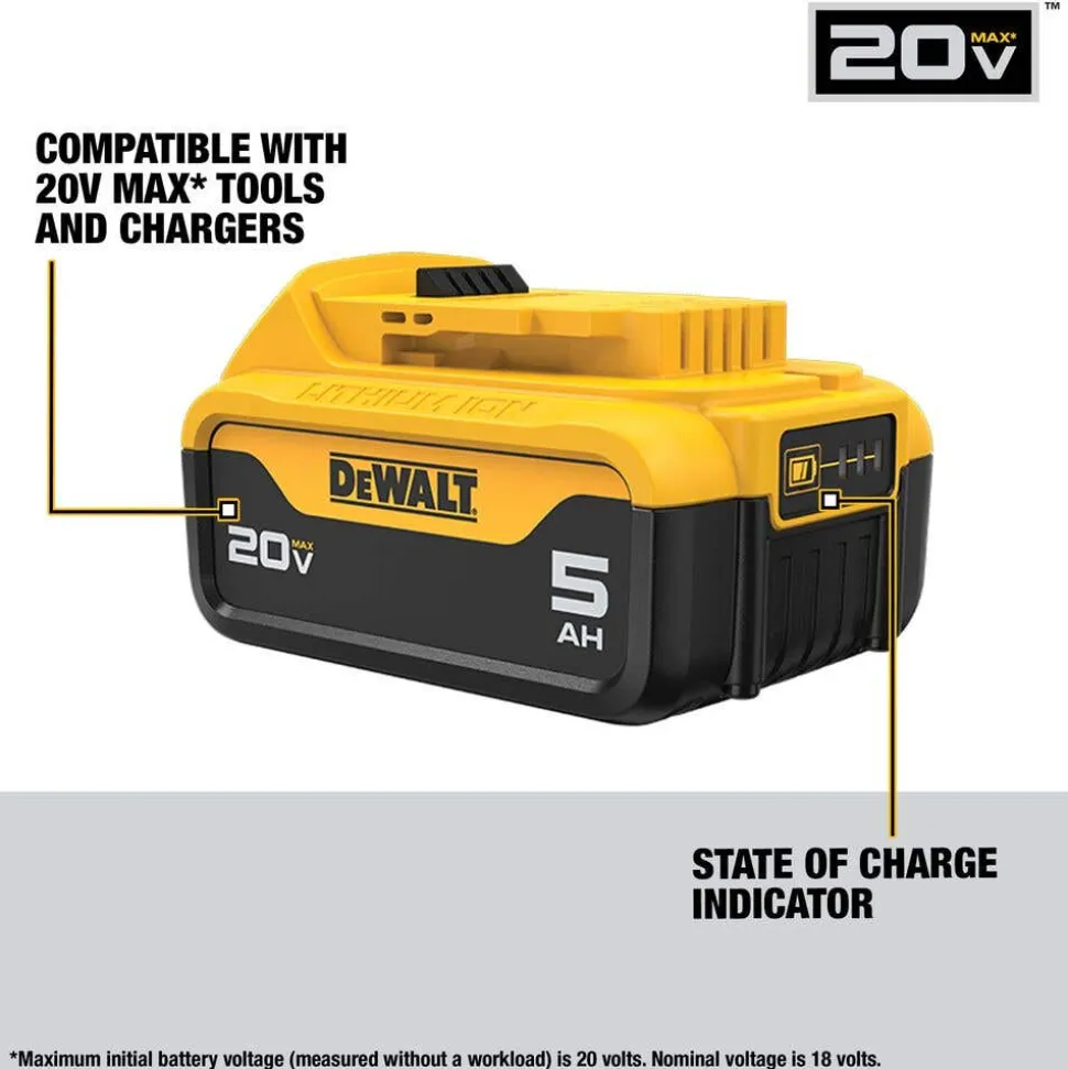 DeWalt 20V MAX 5.0Ah Batteries (2 Pack) DCB205-2