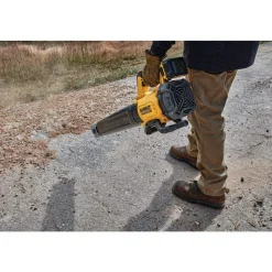 DeWalt 20V MAX* XR Brushless Cordless Handheld Blower Kit (5.0Ah) DCBL722P1