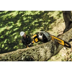 DeWalt 20V MAX* XR Cordless Pole Saw Kit DCPS620M1