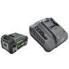 FLEX 24V Starter Kit - 5.0Ah Battery, 160W Fast Charger FX0411-1C