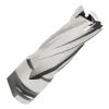 Hougen 5/8" x 1" Depth RotaLoc Plus HSS Annular Cutter 17820