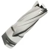 Hougen 1/2" x 1" Depth RotaLoc Plus HSS Annular Cutter 17816