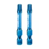 Spyder 2" T30 Impact Driver Bit (2-Pack) 19055